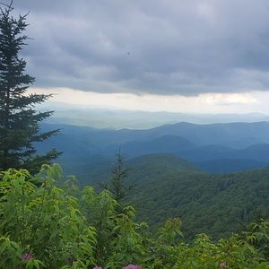 Meet your Posher, Malena